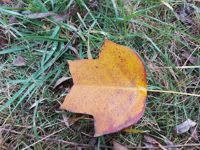 A70S-颜值、性能、性价比在线的三星拳头机