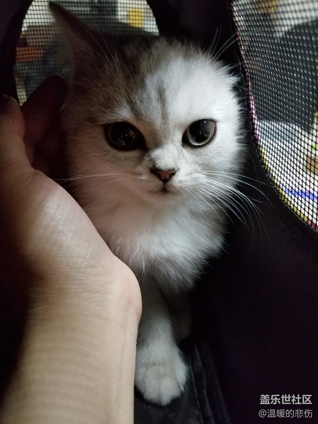 欢迎你光顾，我的小怪物