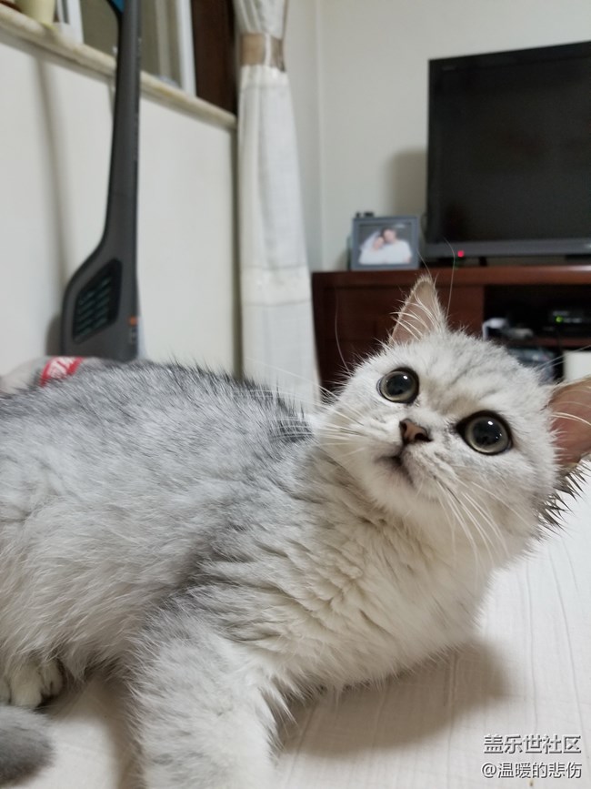 欢迎你光顾，我的小怪物