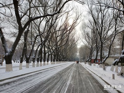 【2019最美瞬间】+在长春