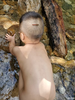 【2019最美瞬间】小儿才露尖尖角，早有蜻蜓立上头