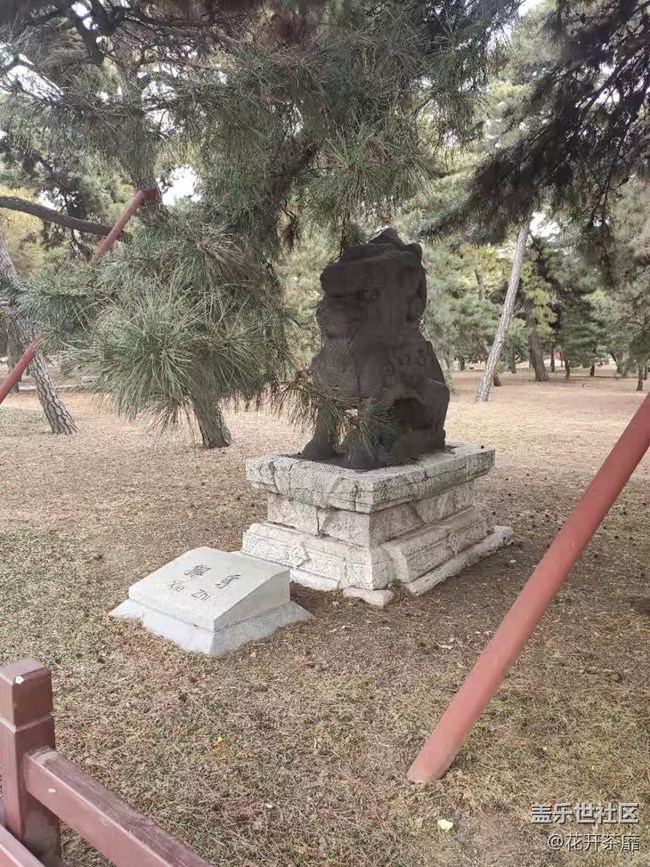 沈阳星部落冬游清昭陵