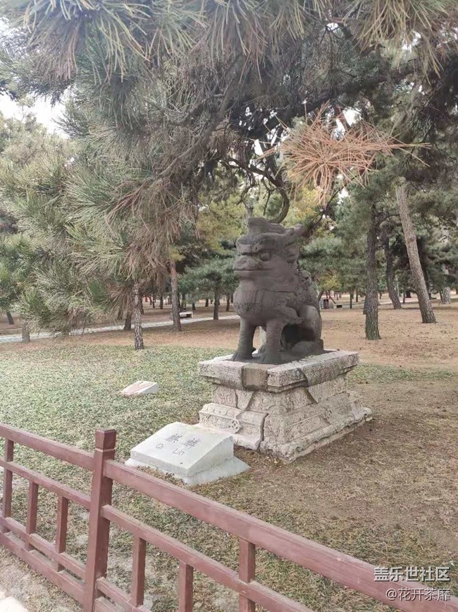 沈阳星部落冬游清昭陵