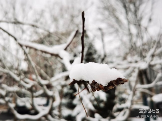 第二场雪景