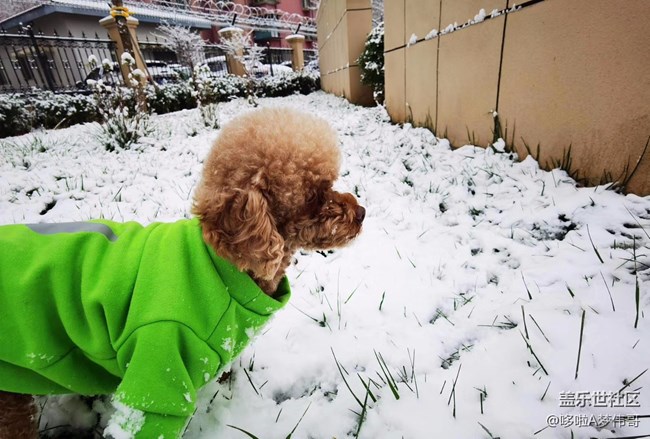 第二场雪景