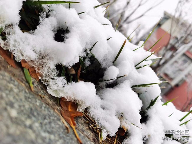第二场雪景