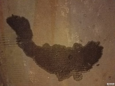 鱼之随拍