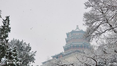 W20 5G  冬雪