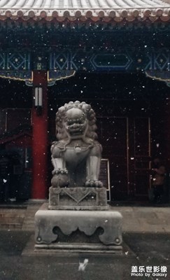 【2019最美瞬间】格格与雪