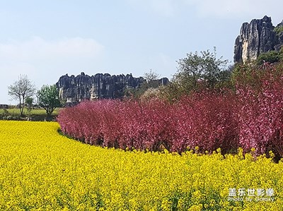 [2019最美瞬间]——彩云之南