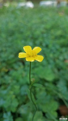 【2019最美瞬间】+野外