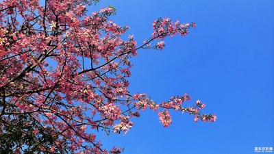 仰望天空