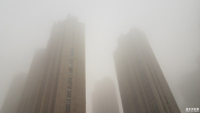【你好2020】+晨雾