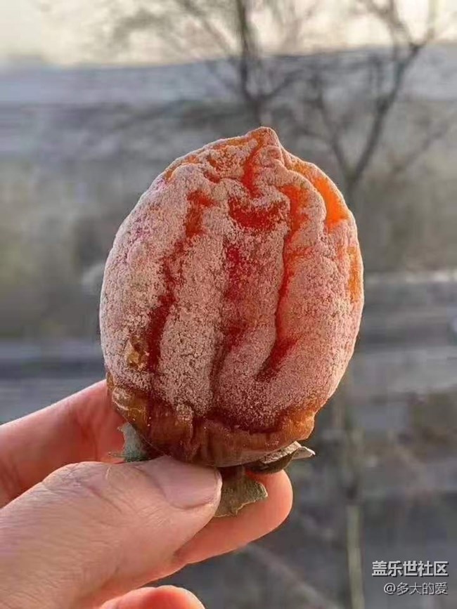 【双旦惊喜】+柿饼之王