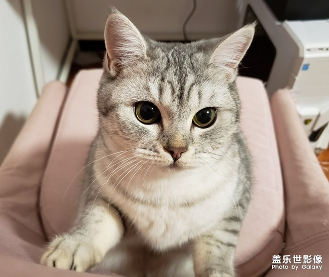 【每周星鲜事】第18期：运动版块开幕啦