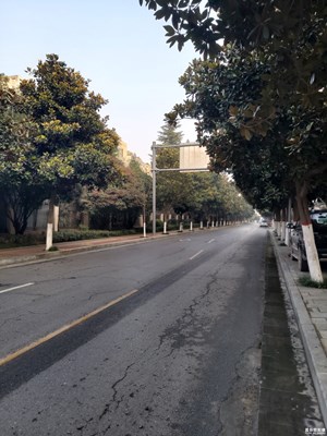 【大街小巷】+难得的晴天