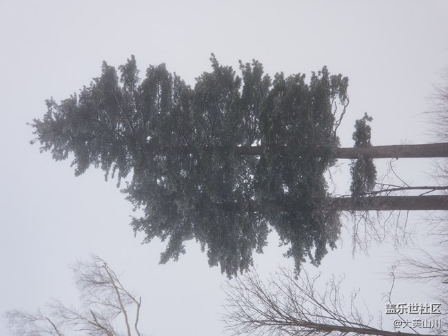 记年终第二次参加社区活动