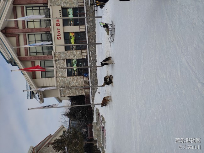 记年终第二次参加社区活动