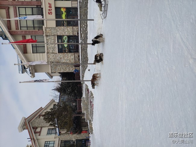 记年终第二次参加社区活动