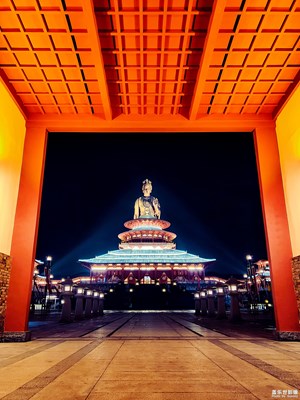 【明亮的夜】+净光