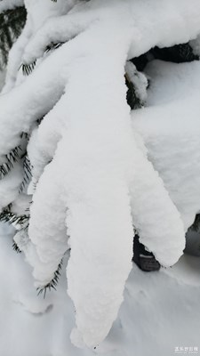 一场大雪