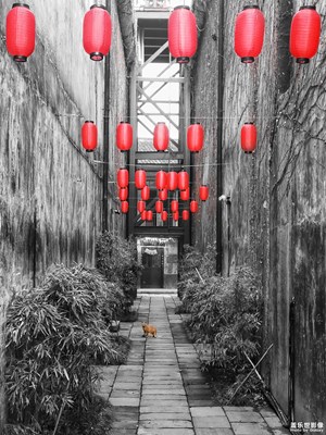 【梅花洲】