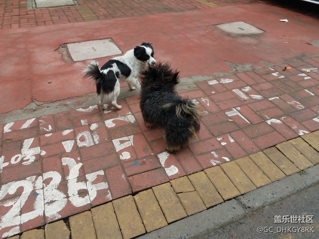 犬戏