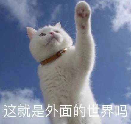 已开奖【二月第一周话题】如果允许出门，你最想...