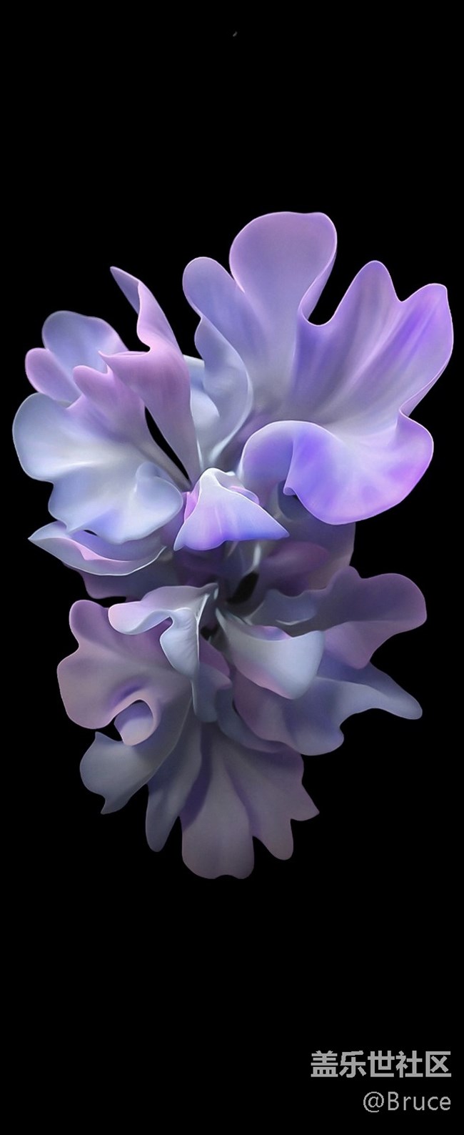 Galaxy Z Flip 自带壁纸