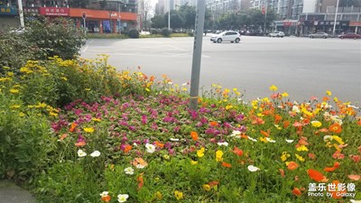 身边的景色+日常生活