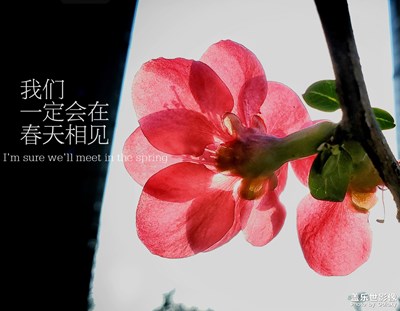 【给最想见的你】+和春天的约会