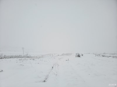 多年一遇的家乡雪景