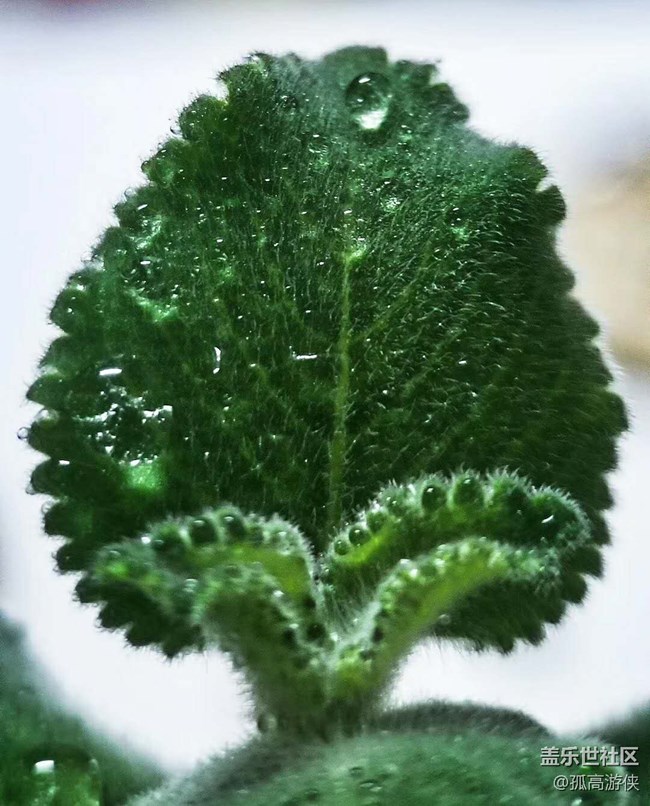 已开奖2月第4期fold板块活动——遇上春天