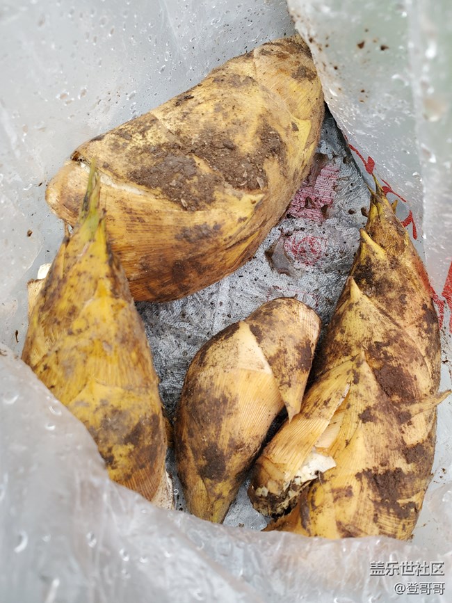 【登哥美食】简单粗暴冬笋炒湘西腊肉