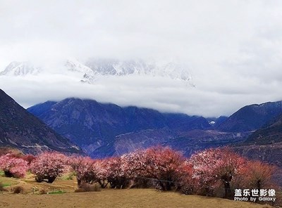 雅鲁藏布峡谷风光（2）