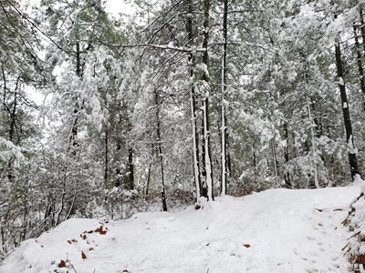 雪景