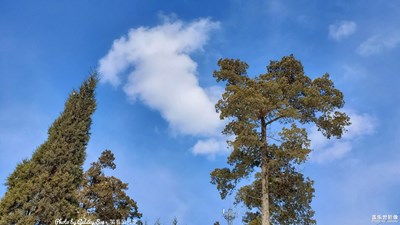 GalaxyS10+【雪后晴空】