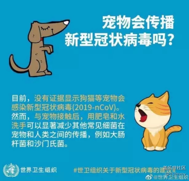 【宠物知识123】善待生命，善待我们的主子们