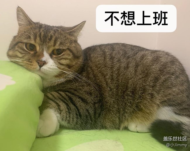 已开奖【宠物活动第十九期】请问，你家主子是戏精么？
