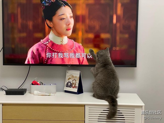 已开奖【宠物活动第十九期】请问，你家主子是戏精么？