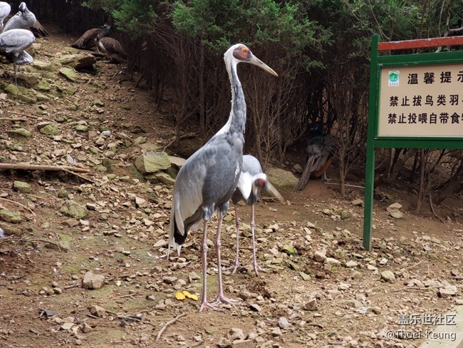 动物园随拍
