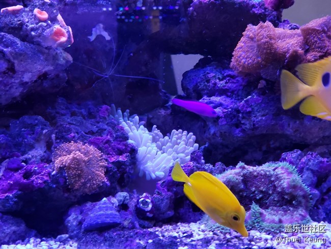 海水缸