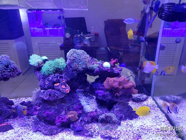 海水缸