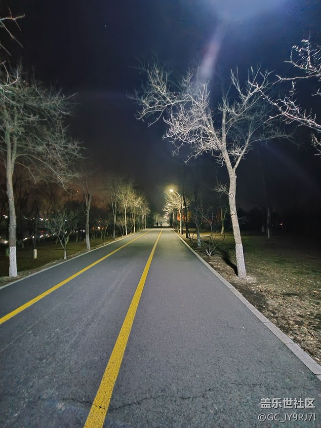 s20夜景