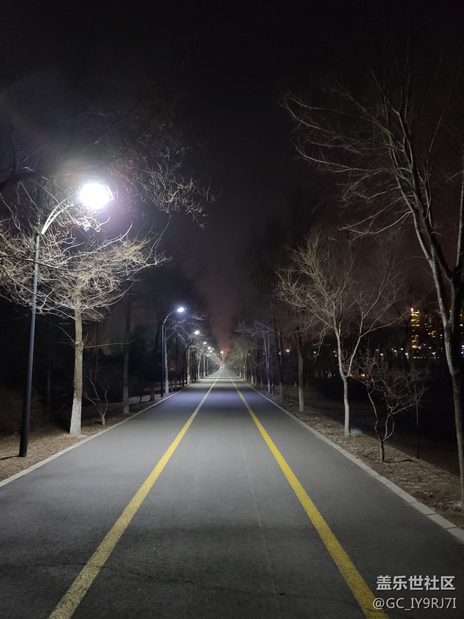 s20夜景