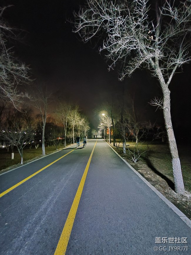 s20夜景