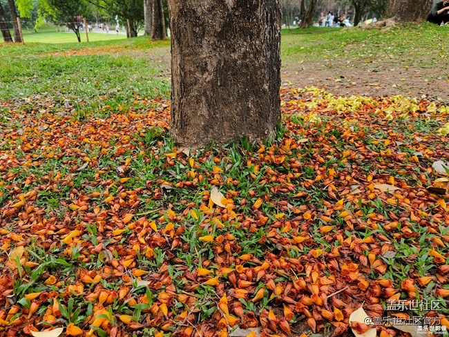 《每周星鲜事》第23期:春天来了