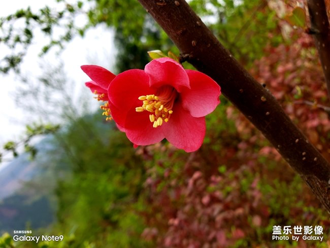 《每周星鲜事》第23期:春天来了