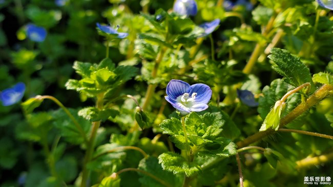 《每周星鲜事》第23期:春天来了