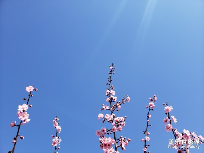 《每周星鲜事》第23期:春天来了